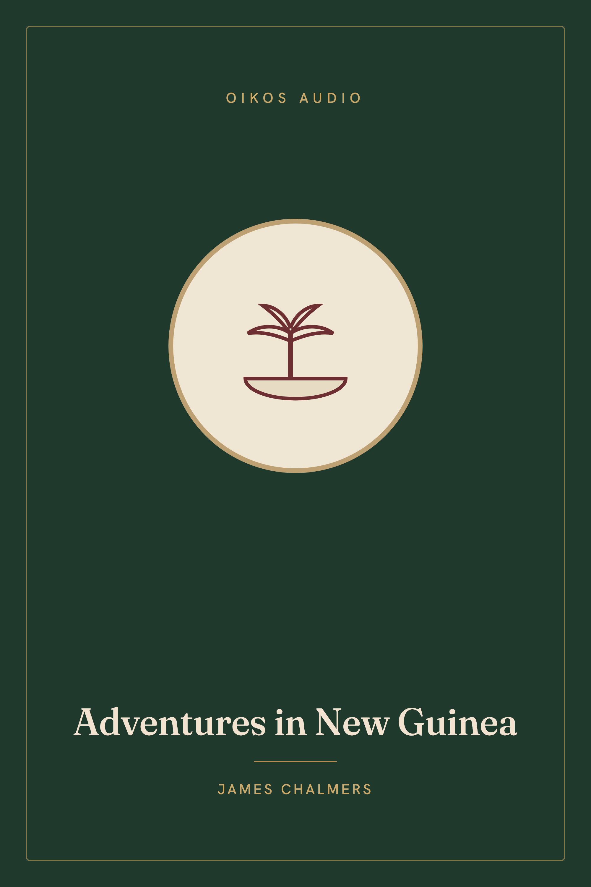 Cover of Adventures in New Guinea