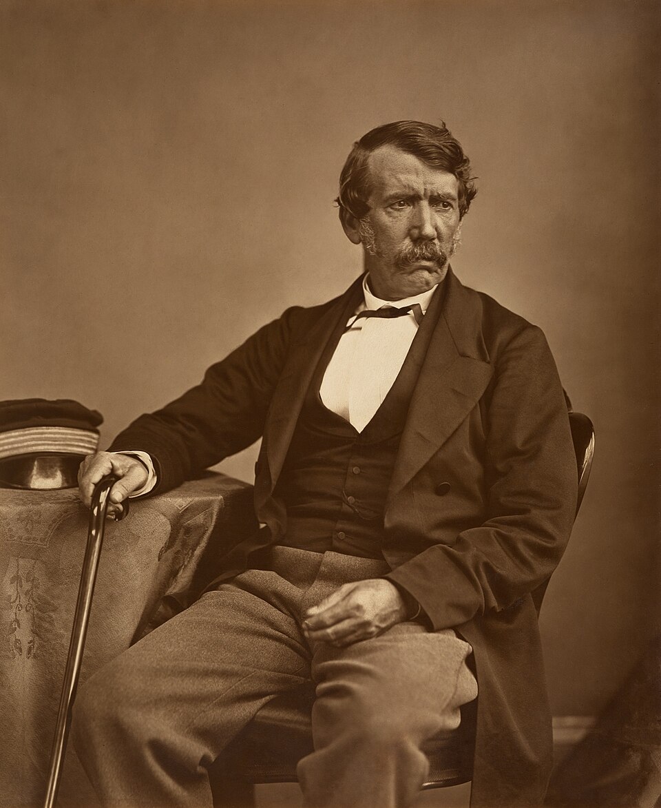 Portrait of David Livingstone